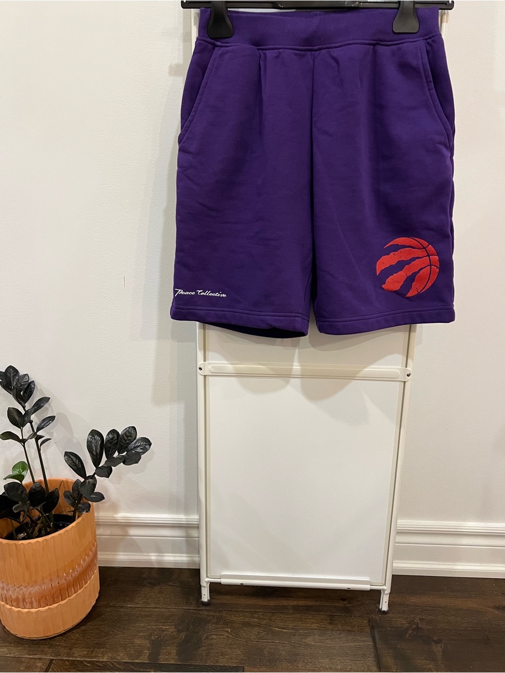 Peace Collective Purple Raptors Shorts